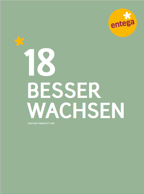 PDF Geschäftsbericht 2018 lang