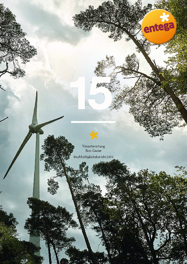 PDF Nachhaltigkeitsbericht 2015