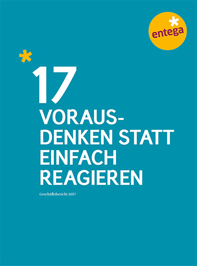 PDF Geschäftsbericht 2017 lang